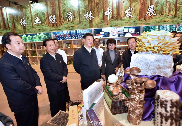 北貨郎森林食品是如何走進習大大視線的