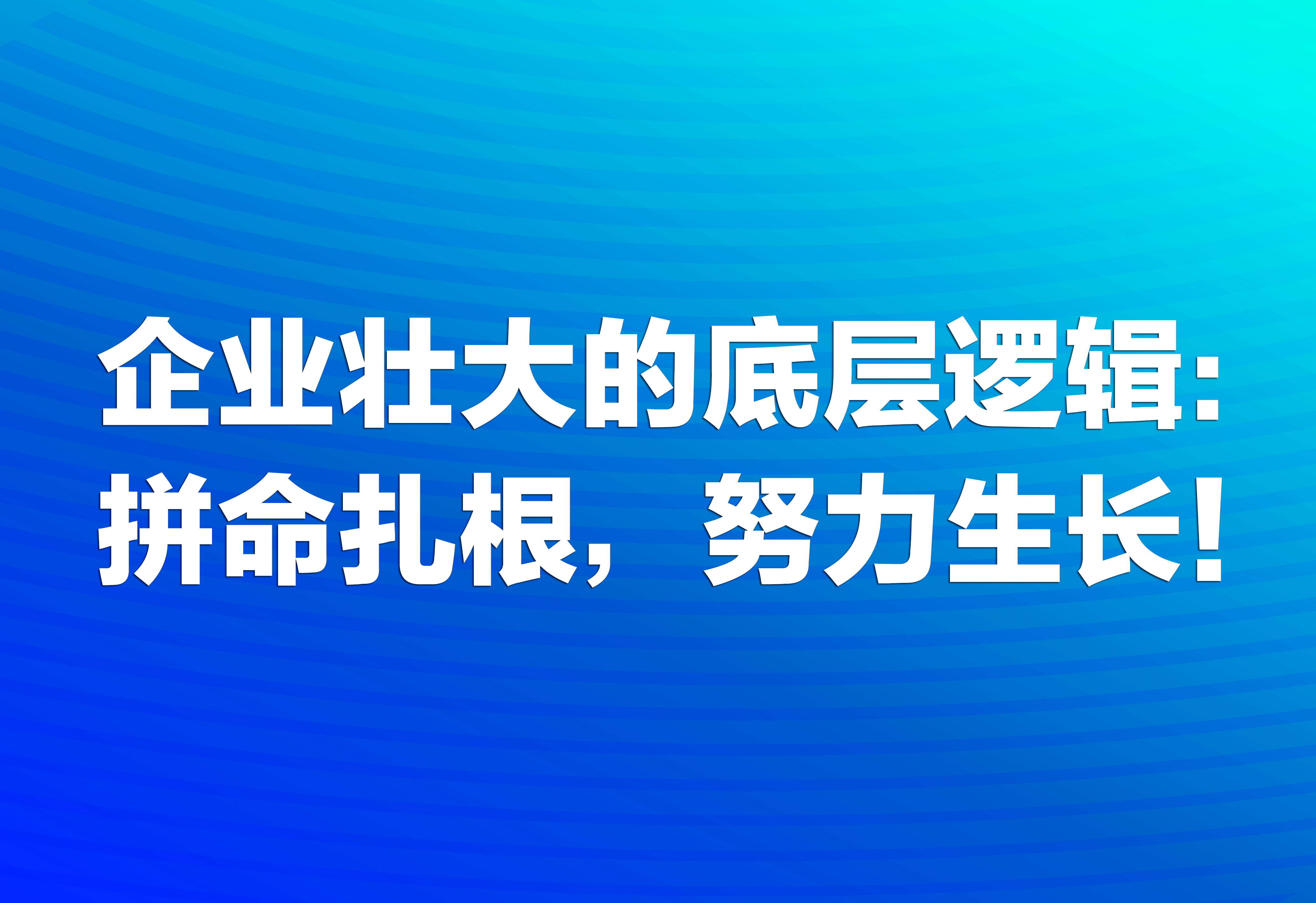 企業(yè)壯大的底層邏輯：拼命扎根，努力生長！