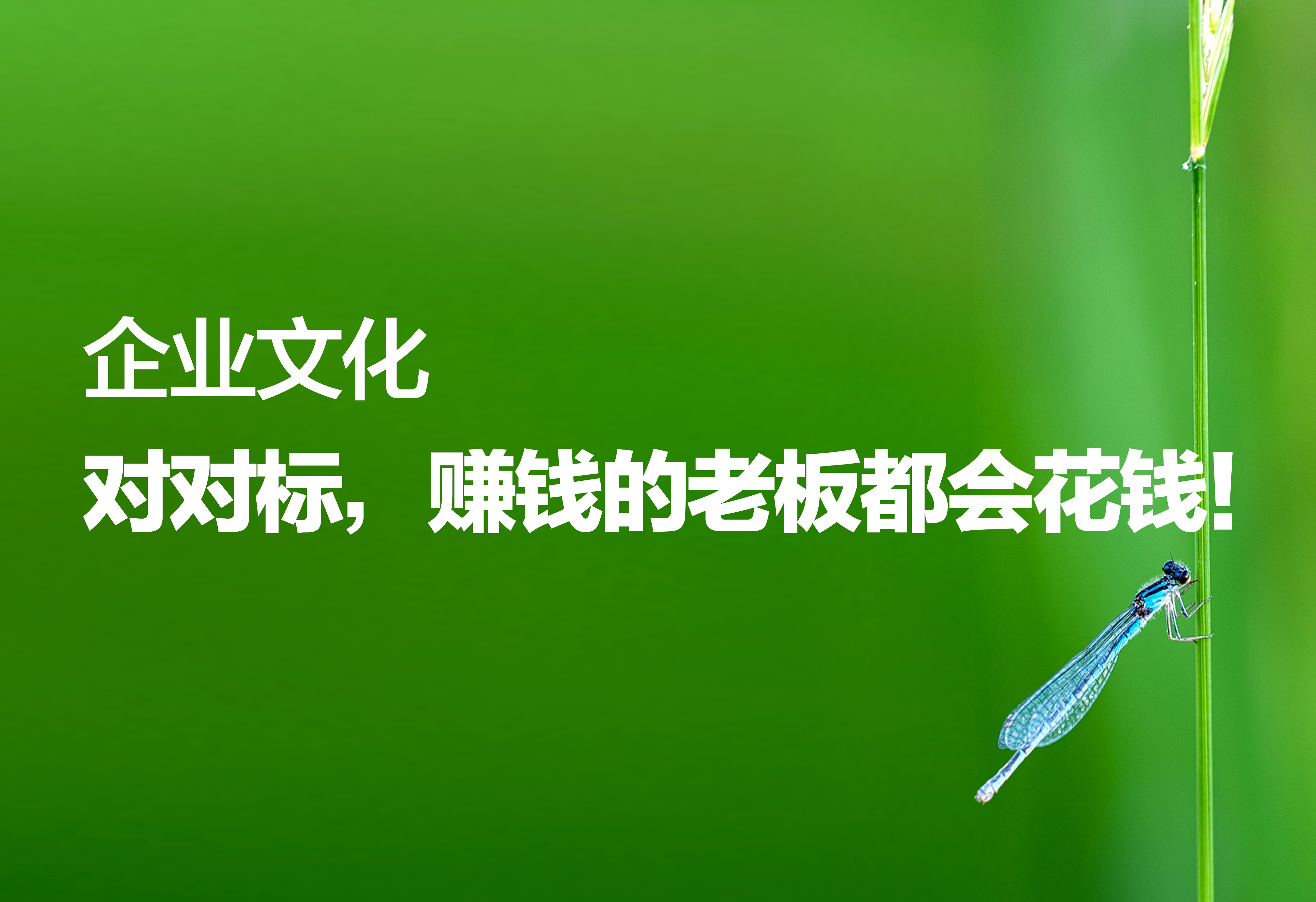 企業(yè)文化：對對標，賺錢的老板都會花錢！