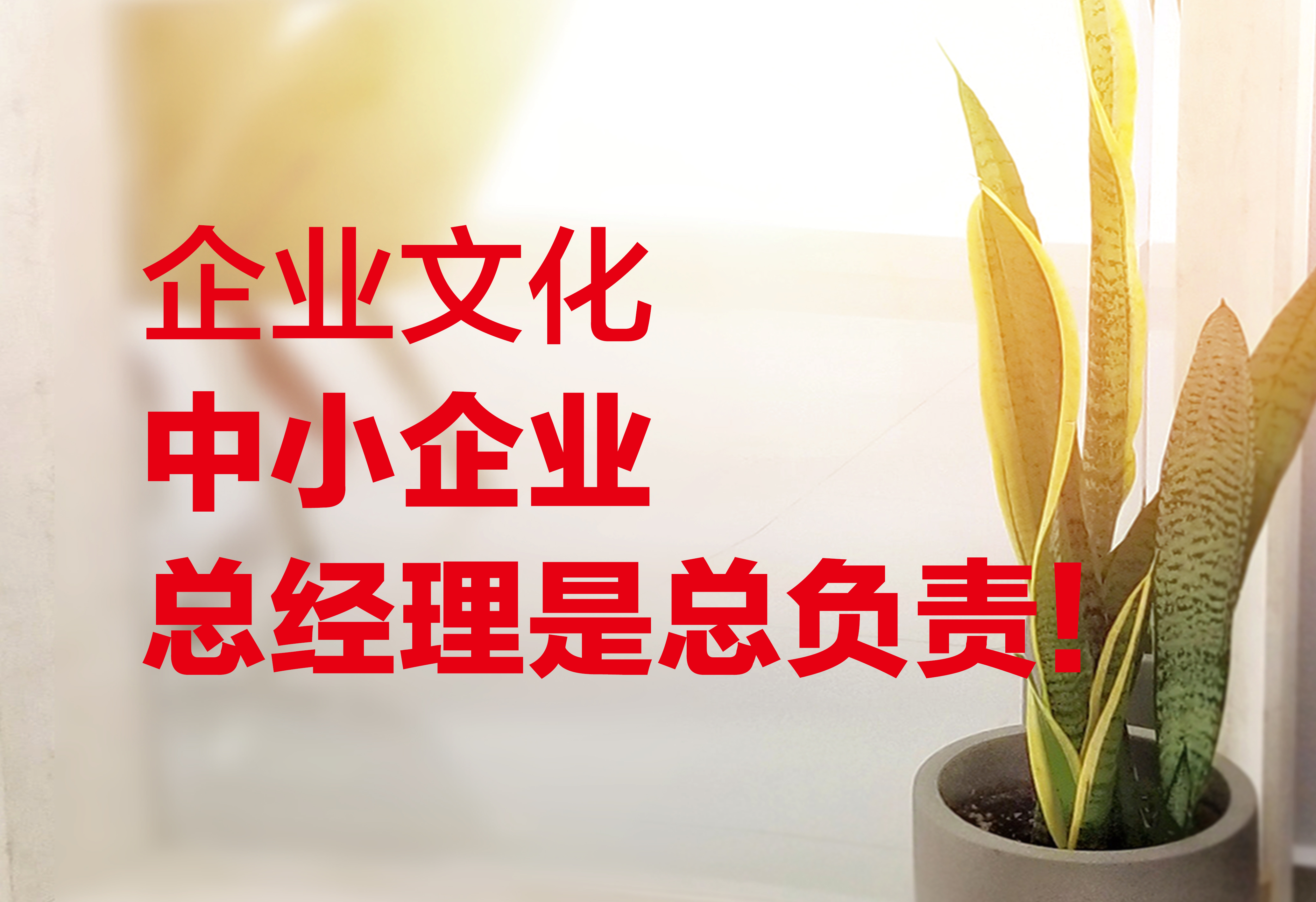 企業(yè)文化：中小企業(yè)總經(jīng)理是總負(fù)責(zé)！